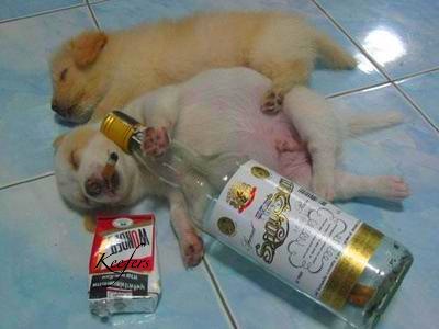[drunkdogs[4].jpg]