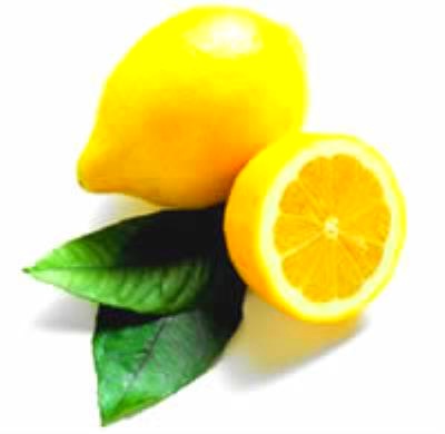 [20064417494_limone[12].jpg]