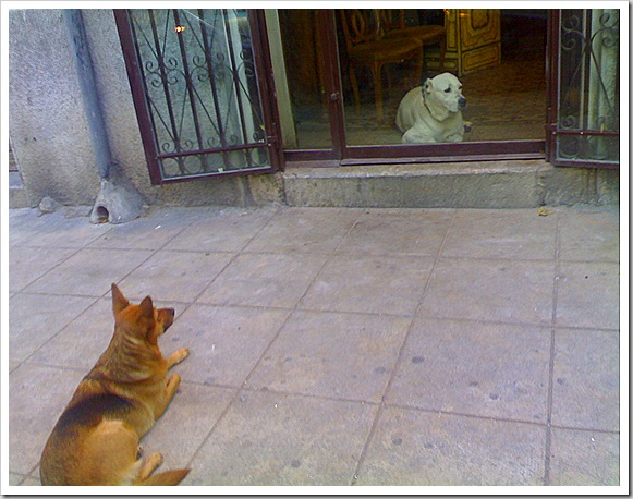 Amore (im)possibile?