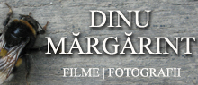  Dinu Mărgărint - filme, fotografii