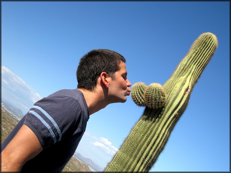 [phoenix_arizona_kissing_cactus_boobs[4].jpg]