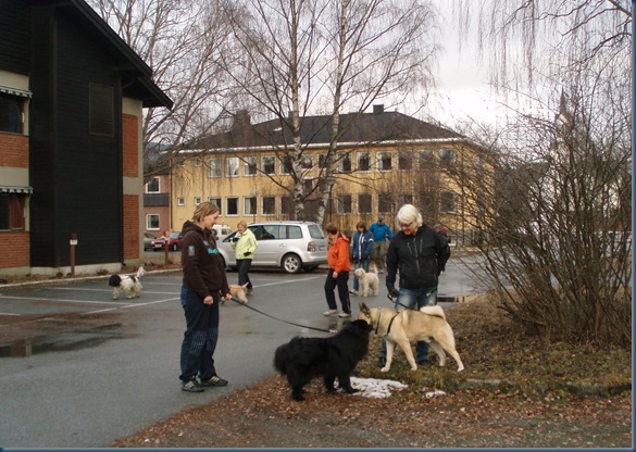 snusetur 003