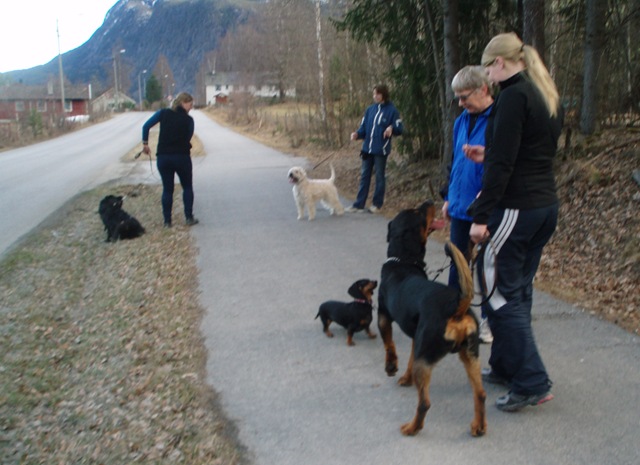 [torsdag 013[8].jpg]