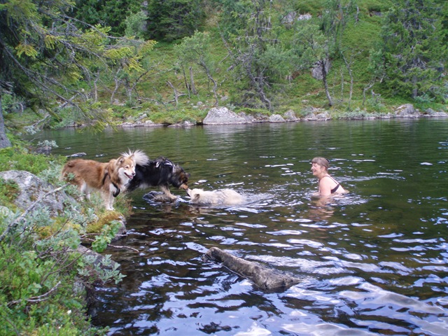 [hundetreff0172.jpg]