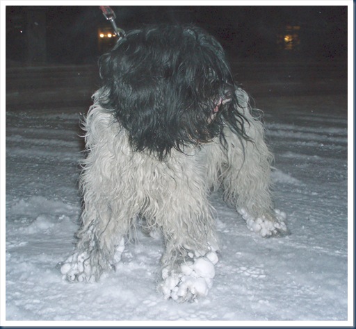 snø 007