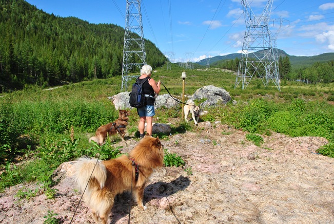 Todalen 003 Todalen 003