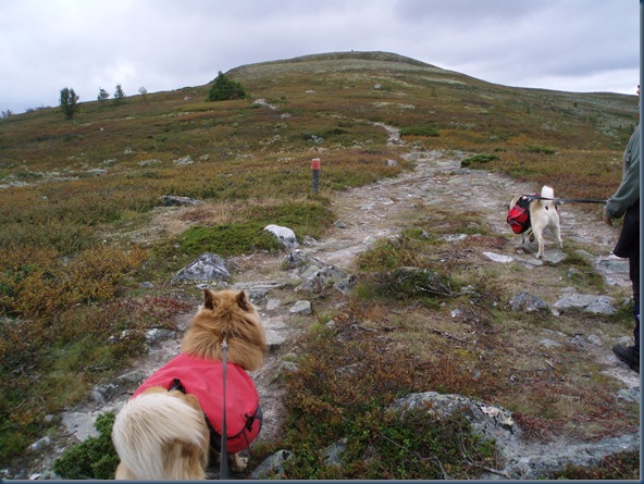 Åkrefjell 005