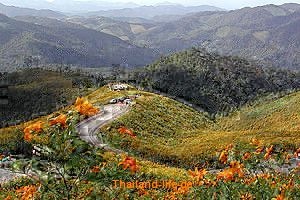 [mae_hong_son_buatong[2].jpg]