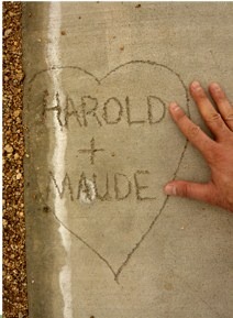 [harold+maude[2].jpg]