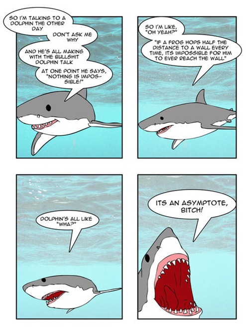 sharks