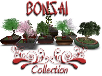 bonsai collection