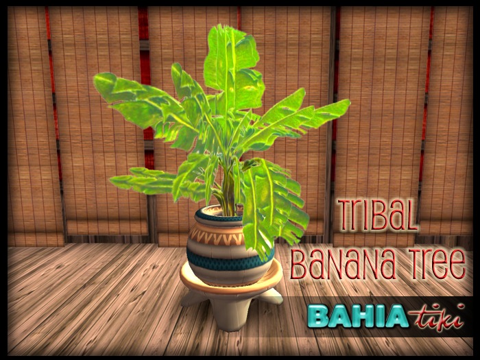 [Tribal-Banana-Tree4.jpg]