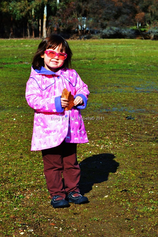 [DSC_007412.jpg]