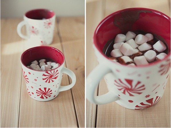 Hot cocoa and marshmellows.jpg Hot cocoa and marshmellows.jpg