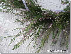 IMG_2852 IMG_2852