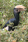 IMG_0014.JPG