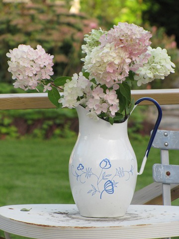 [hortensia8[4].jpg]