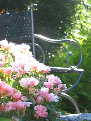 [2010-08-20 030[5].jpg]