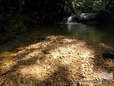 jungle_pool_waterfall_pebbles