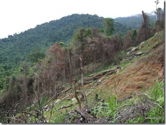 Gunung_Kanyi_Waterfalls_Trek_04