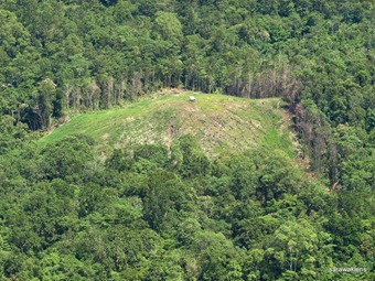 [Hill_paddy_Padi_Bukit_Huma3.jpg]