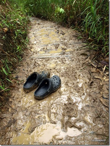 Trekking_on_muddy_trails_02