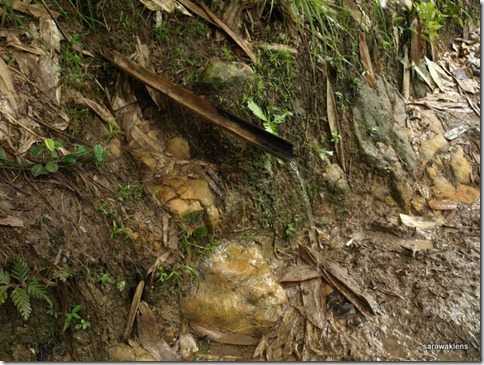 Trekking_on_muddy_trails_06