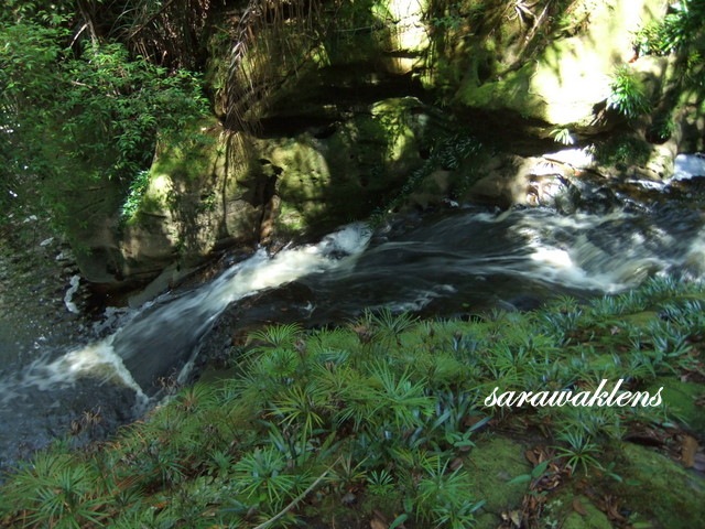 [Tajor_Waterfall_Bako_National_Park_05[3].jpg]