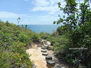 Pulau_Lakei_Bako_National_Park_12