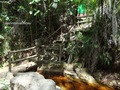 Pulau_Lakei_Bako_National_Park_28