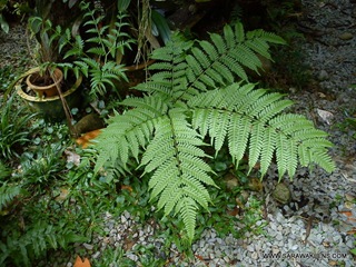 sony_ericsson_xperia_mini_pro_camera_samples_26 sony_ericsson_xperia_mini_pro_camera_samples_26