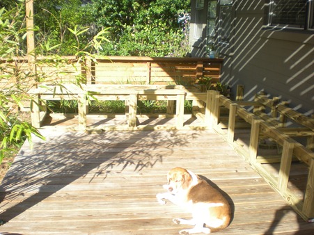 [bench3[3].jpg]