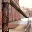 CRW_0010.jpg