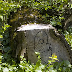 Natural Plant life.jpg