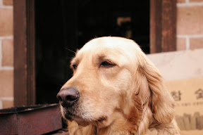 IMGP7432.jpg