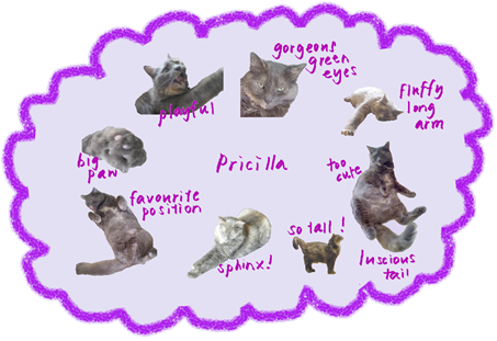 pricilla data