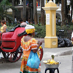 Palenquera Palenquera