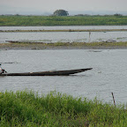 Pescando en la ciénaga Pescando en la ciénaga