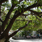 La plaza Almirante Padilla La plaza Almirante Padilla
