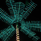 Palmera Hi-Tech