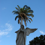 Angel en el cementerio de Roldanillo