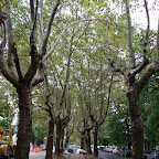 Caminando por La Plata Caminando por La Plata