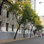 Otoño en Abasto Otoño en Abasto