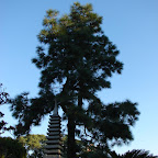 Jardín Japonés Jardín Japonés