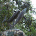 Estatuas de Yubartas en Gorgona MSS