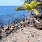 Playas en gorgona