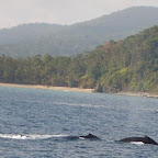 Yubartas