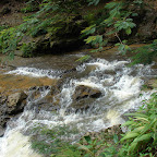 Cascadas de Juan Cur&iacute;