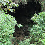 Canopy a la entrada Canopy a la entrada
