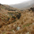 Camino a la laguna Verde Camino a la laguna Verde